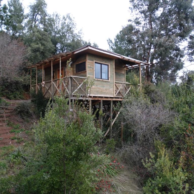 Turismo El Recodo, cabañas y camping - Casa con 1 dormitorio - 4