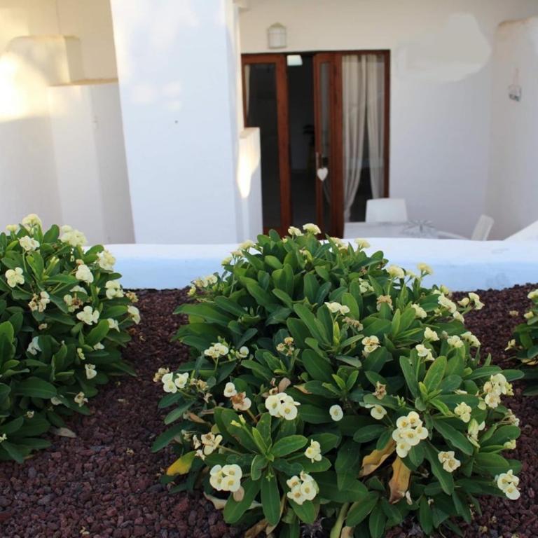 Casa María Grazia - Apartamento de 1 dormitorio - 3
