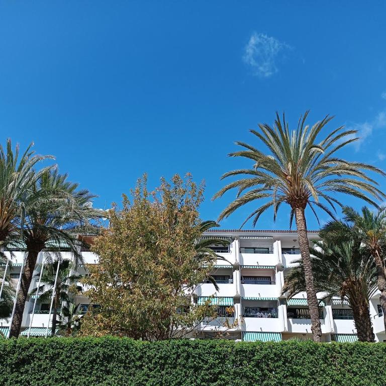 Maspalomas holiday Surycan - Apartamento de 1 dormitorio - 20