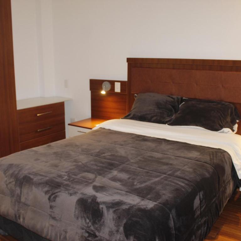 Hoteles Silva Inn - Habitación Doble - 6