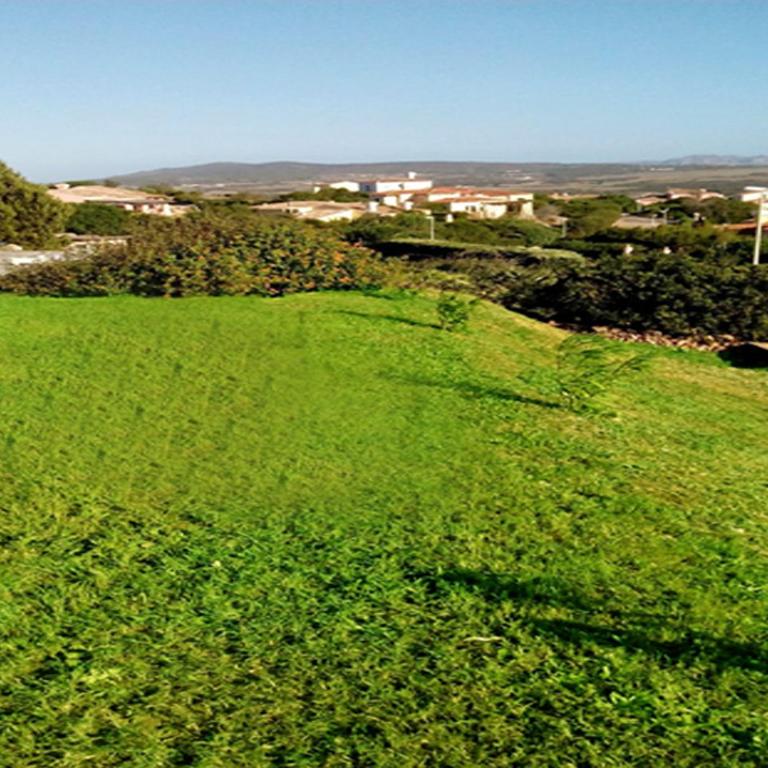 Villa Aura - Villa con Piscina Privata - 19