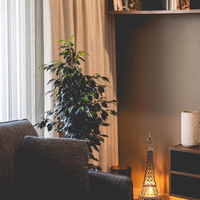 L'Envolée - Charming T2 with terrace air conditioning - Apartment - 32