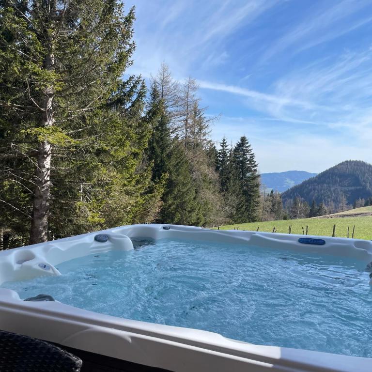 Teichalm Lodge Landhaus - Maison 3 Chambres - 1