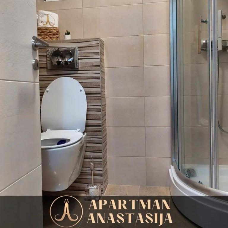 Apartman Anastasija Vrnjačka Banja - One-Bedroom Apartment - 3