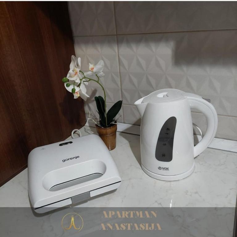 Apartman Anastasija Vrnjačka Banja - One-Bedroom Apartment - 4