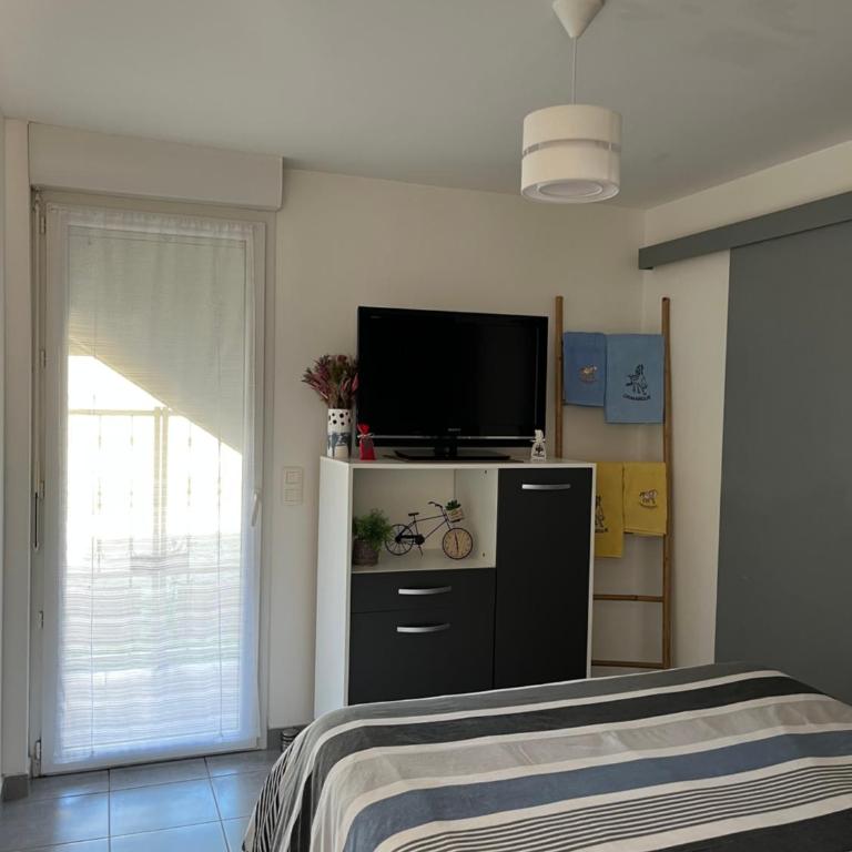 Appt calme ensoleillé fonctionnel - Appartamento con 1 Camera da Letto - 12