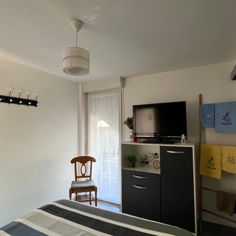 Appt calme ensoleillé fonctionnel - Appartamento con 1 Camera da Letto - 11