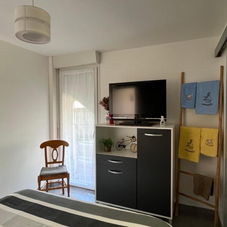 Appt calme ensoleillé fonctionnel - Appartamento con 1 Camera da Letto - 13