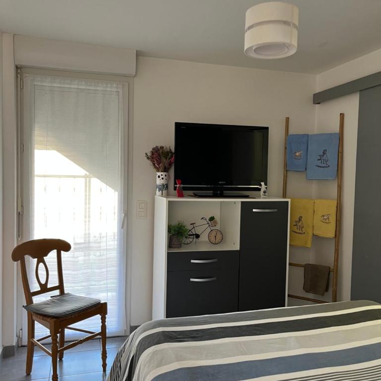 Appt calme ensoleillé fonctionnel - Appartamento con 1 Camera da Letto - 10