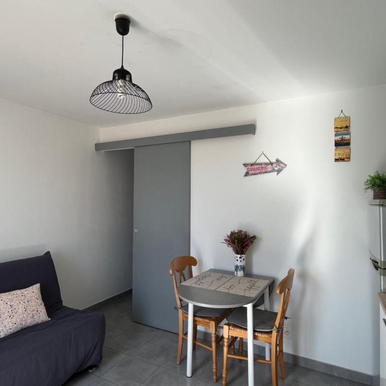 Appt calme ensoleillé fonctionnel - Appartamento con 1 Camera da Letto - 9