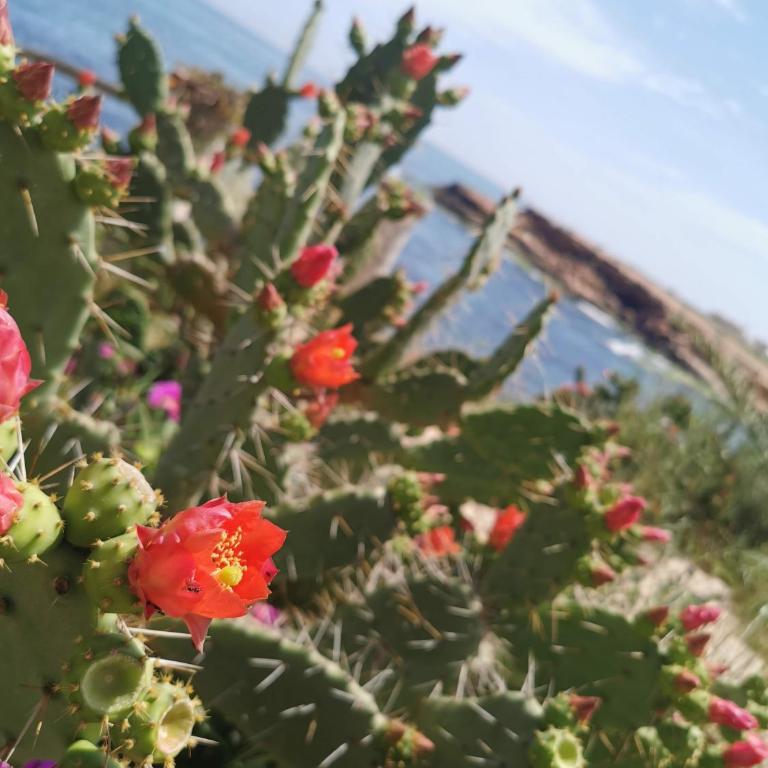 Apartamento Soleado - Two-Bedroom Apartment - 36