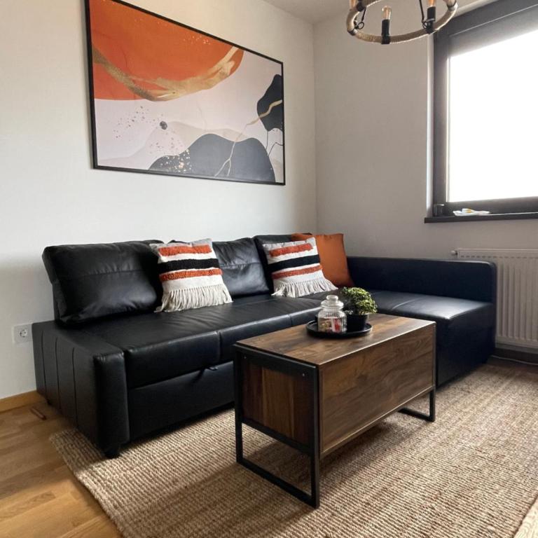BlackWood Apartment Zlatibor - One-Bedroom Apartment - 15