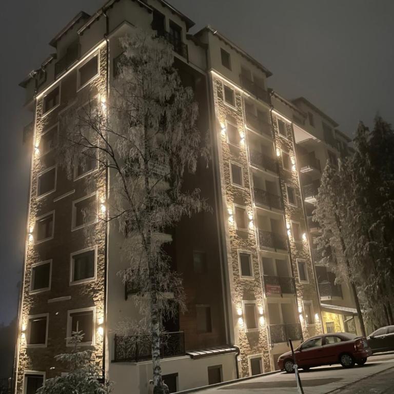 BlackWood Apartment Zlatibor - One-Bedroom Apartment - 22