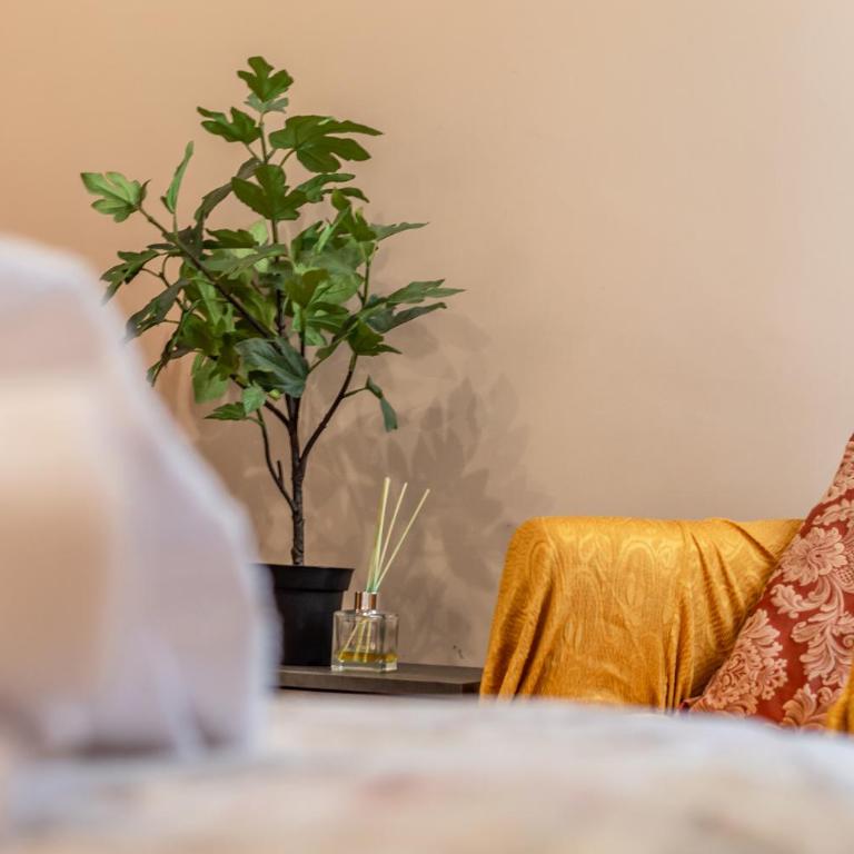 Pinzochere Artistic for family - Appartamento con 1 Camera da Letto - 4