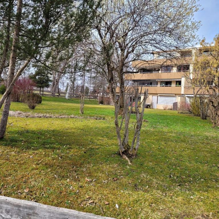 Ferienwohnung Schöne Auszeit - Apartamento de 1 dormitorio - 25
