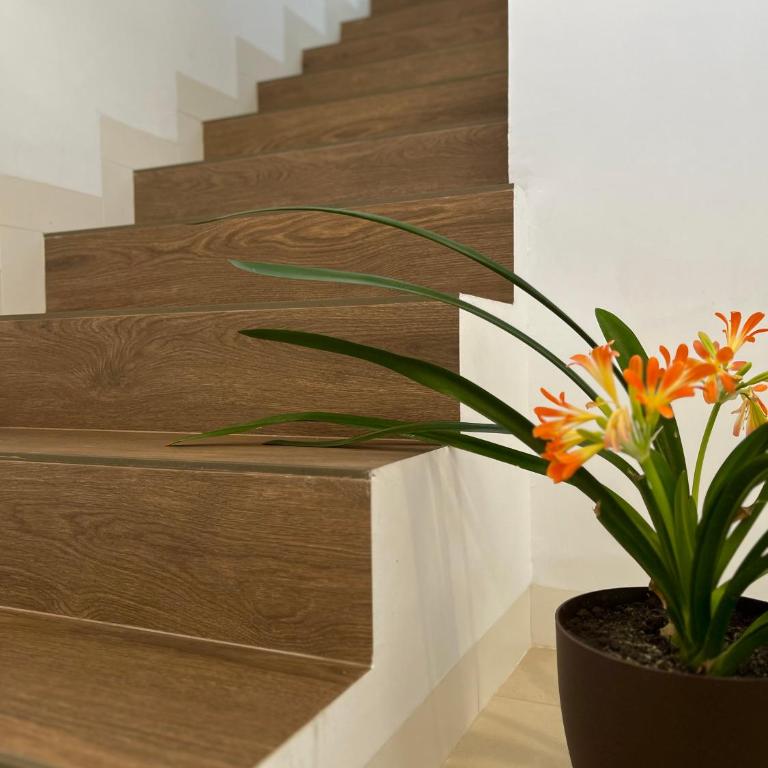 Loft céntrico con gran terraza - Apartamento de 1 dormitorio - 21