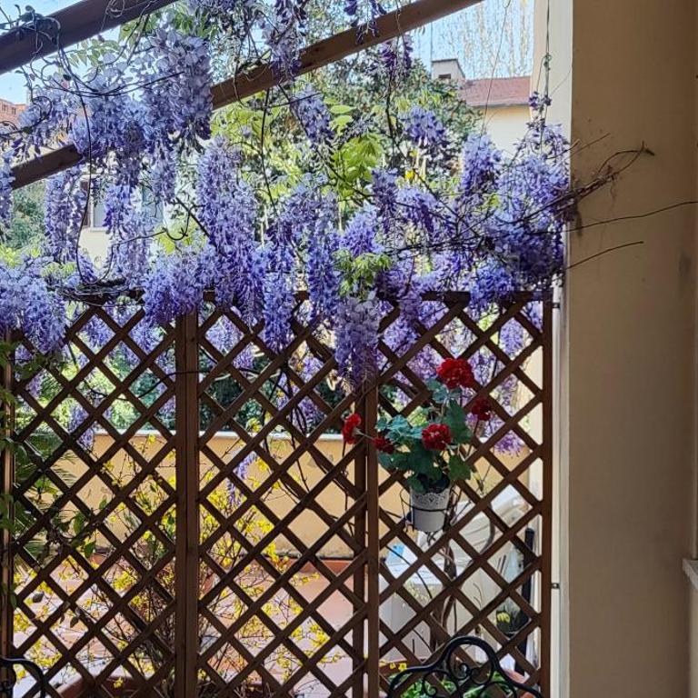 Le Nove Muse Guesthouse - Camera Superior - 2