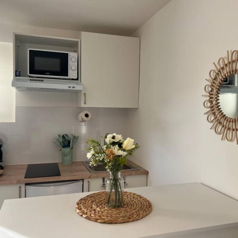 *La Pampa, Studio, Parking, Clim, Hôpitaux/Fac* - Studio-Apartment - 2