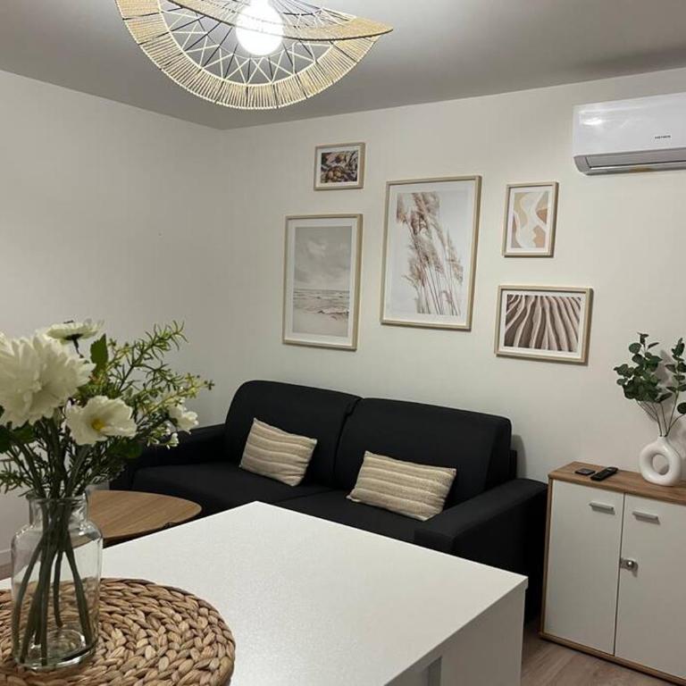 *La Pampa, Studio, Parking, Clim, Hôpitaux/Fac* - Studio-Apartment - 3