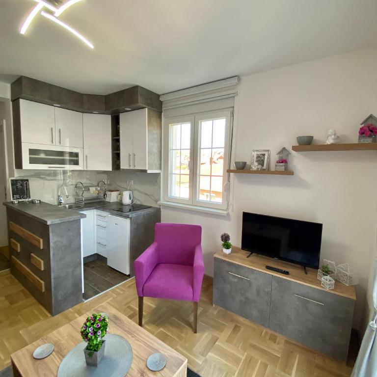 APARTMAN TAMARA LUX - Apartman sa 1 Spavaćom Sobom - 10