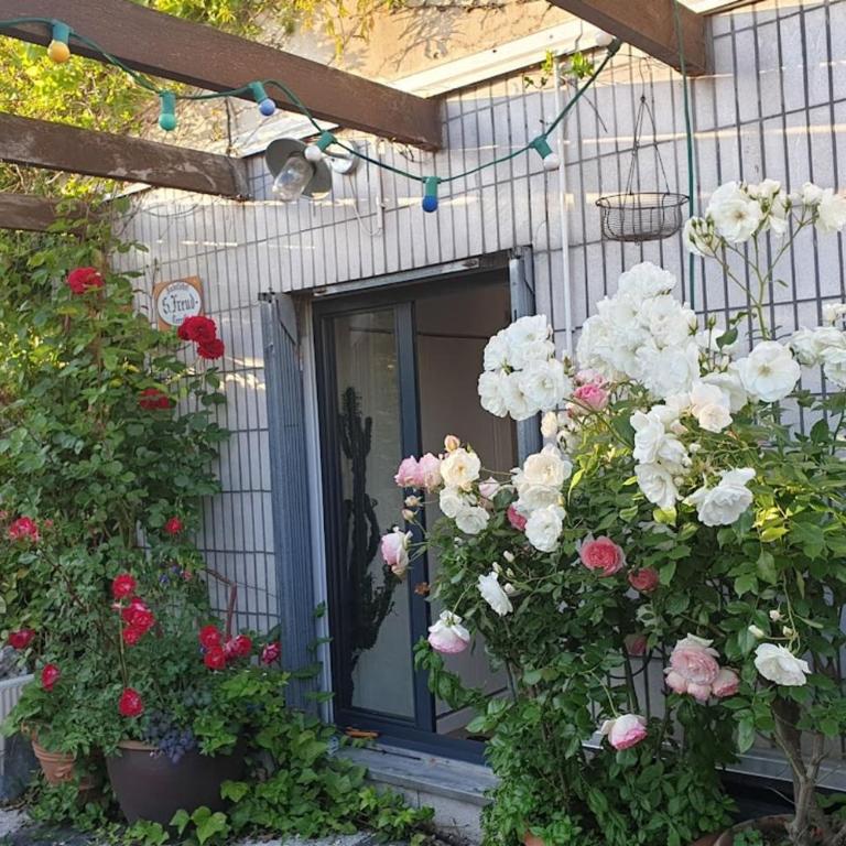 Apt quiet and bright with large terrace - Appartement - 16