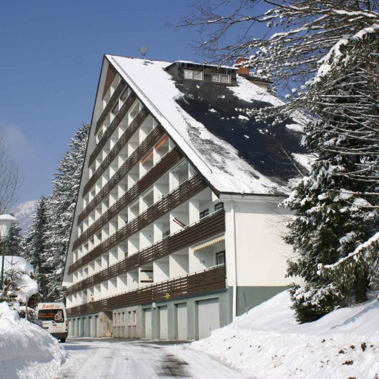 Apartment in Bad Mitterndorf - Steiermark 41116 - Apartment - 31
