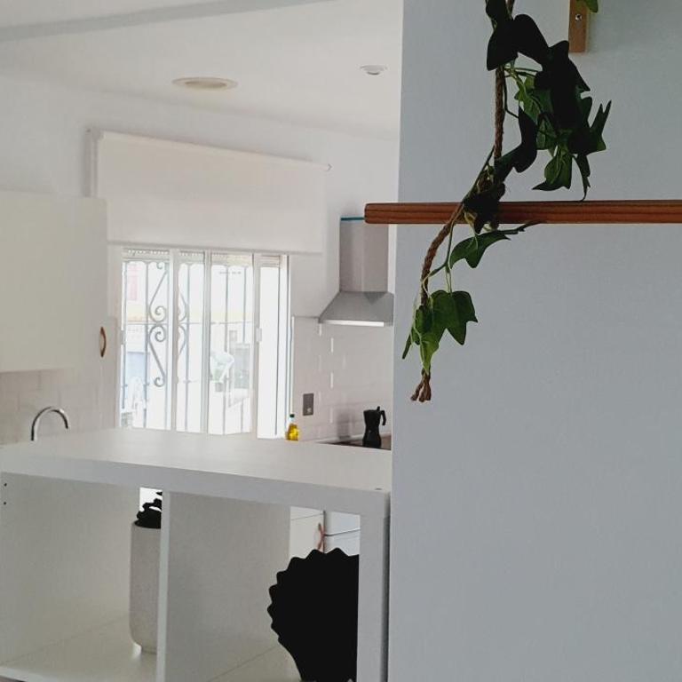 Apartamentos La Libertad Estepona - Estudio Estándar - 14