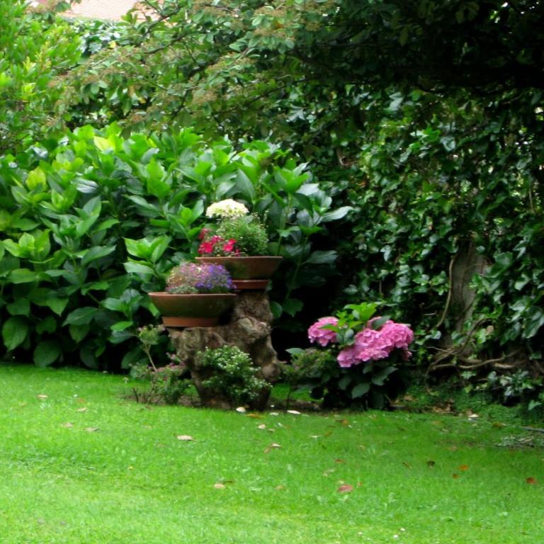 Chez Fleur - Chambre Double - Vue sur Jardin - 3