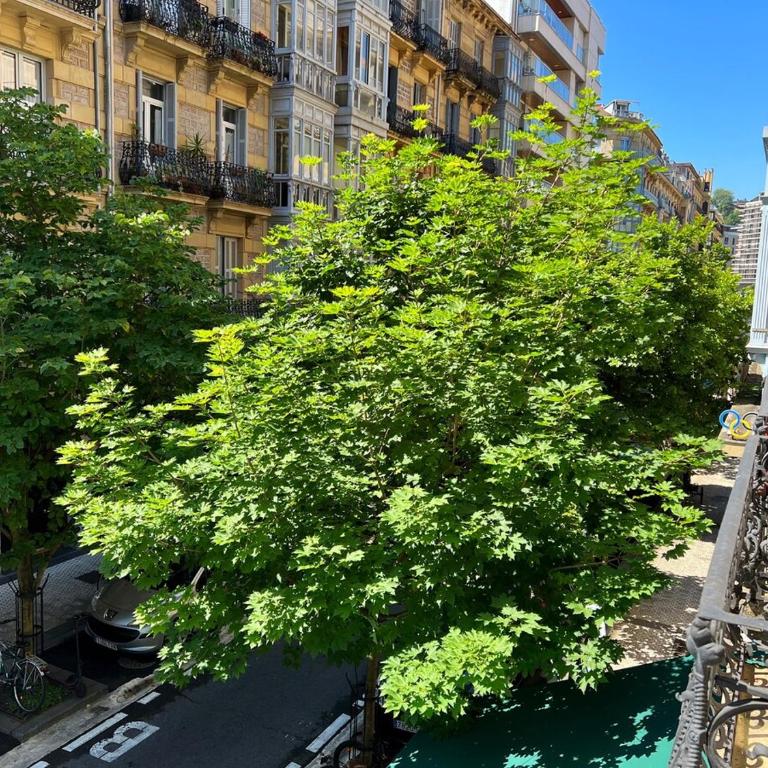 Heart of Midtown ⎮⎮ 5 balconies⎮⎮Walk Score 99 - Casa de 2 dormitorios - 15