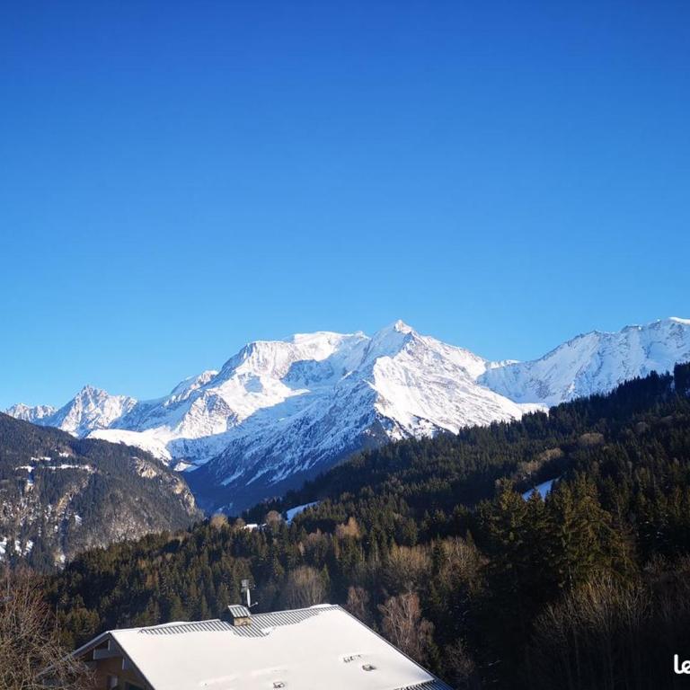 Vue splendide Mont Blanc - Two-Bedroom Apartment - 2