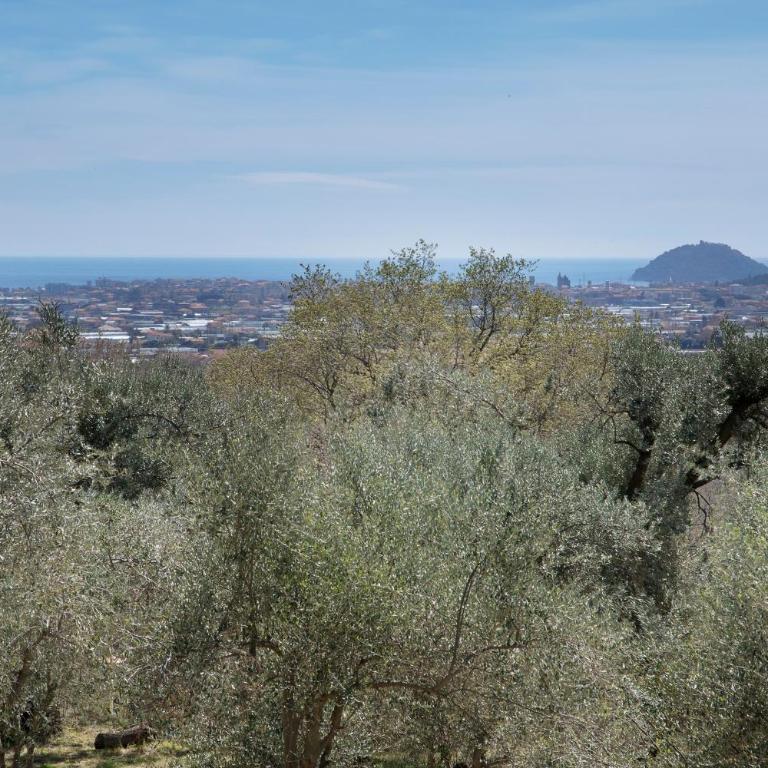 Incantevole Veranda Panoramica - Villa con 1 Camera da Letto - 18