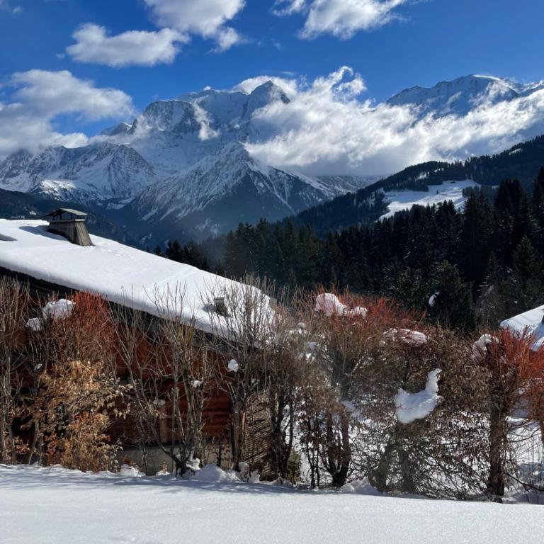 Vue splendide Mont Blanc - Two-Bedroom Apartment - 11