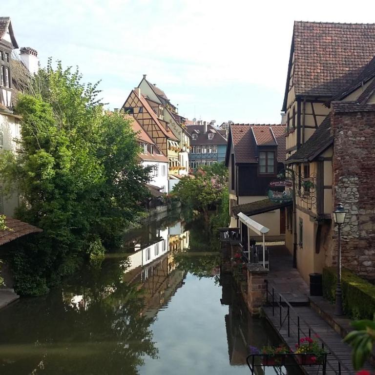 Commanderie Cottage Colmar - Appartement - Vue sur Jardin - 46