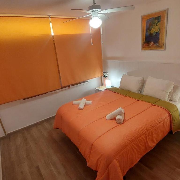 Alegranza I - Apartamento de 1 dormitorio - 36