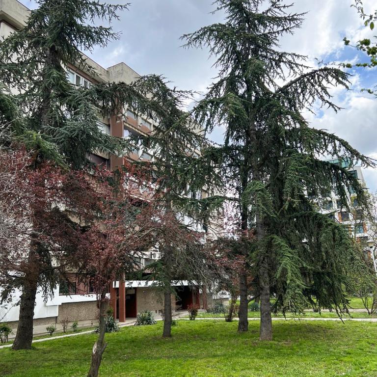 The Black & White Oasis - Apartman sa 1 Spavaćom Sobom - 36