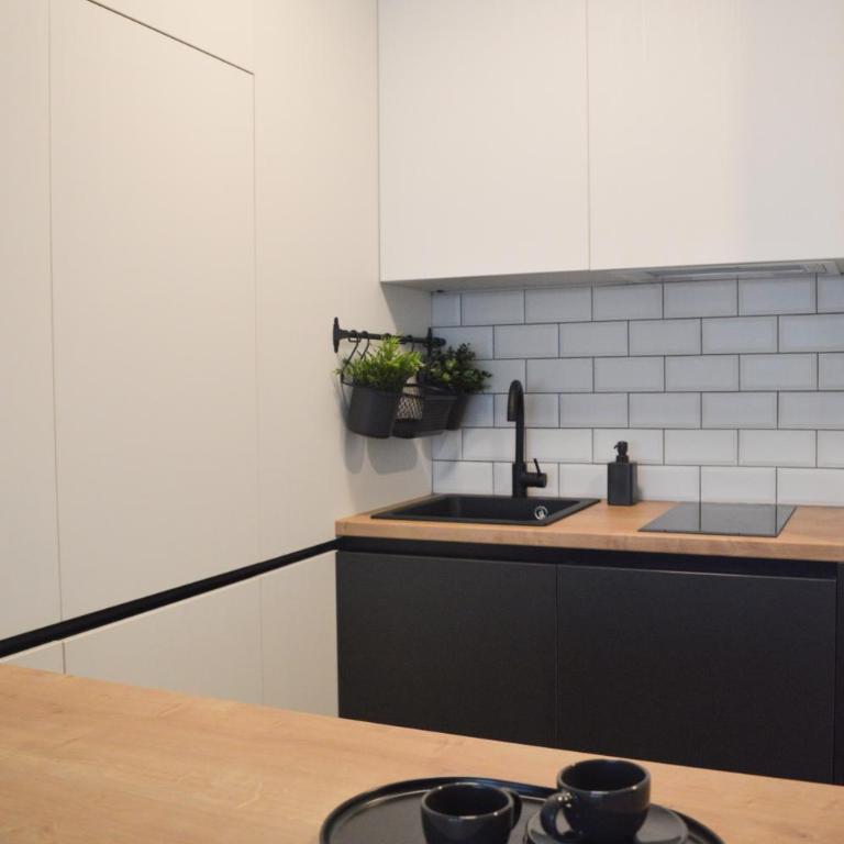 The Black & White Oasis - Apartman sa 1 Spavaćom Sobom - 25