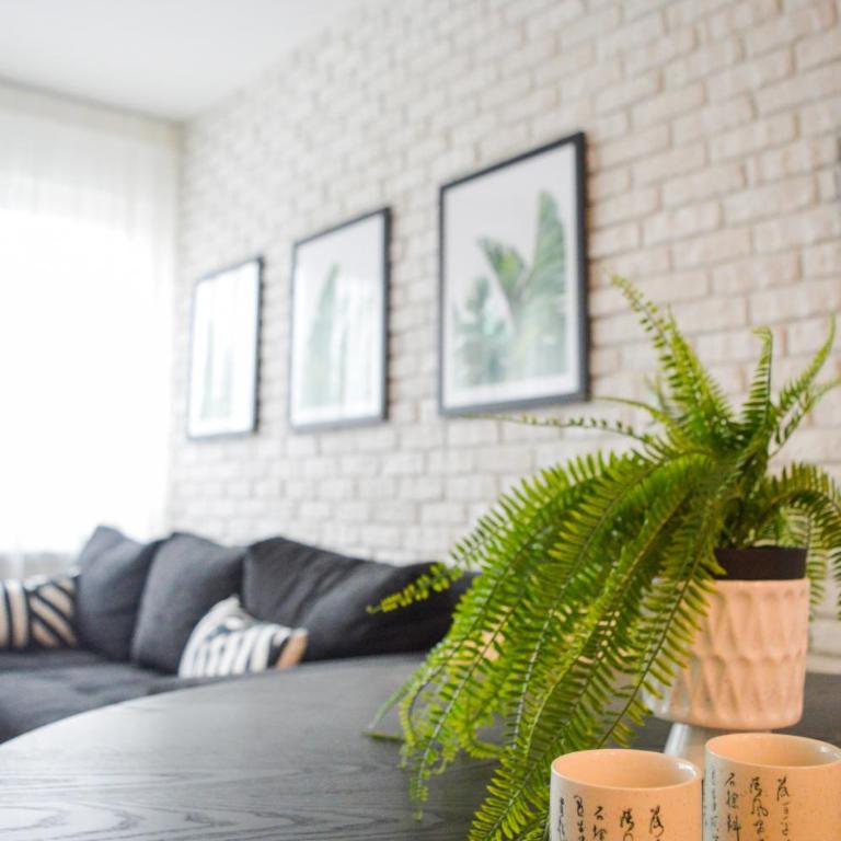 The Black & White Oasis - Apartman sa 1 Spavaćom Sobom - 6