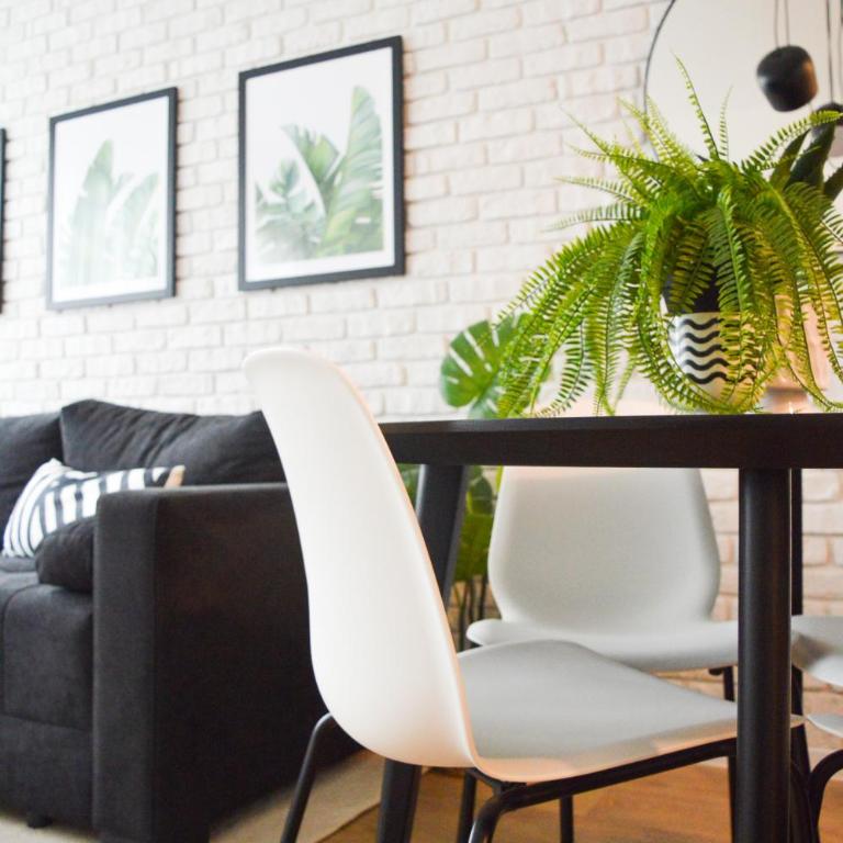 The Black & White Oasis - Apartman sa 1 Spavaćom Sobom - 10