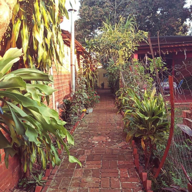 Hostel Sin Fronteras - Mixed Dormitory Room - 2