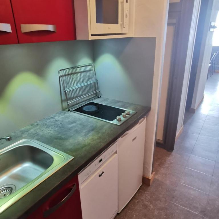 Studio cozy aux pieds des pistes, balcon, animaux admis - Studio - 9