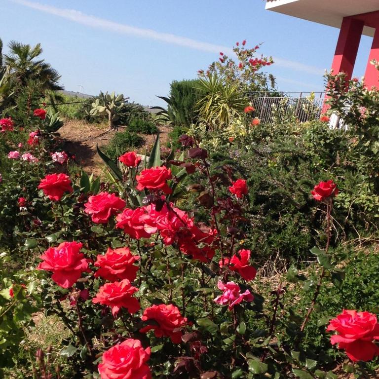 Casa Vacanze Surriano - Two-Bedroom House - 21