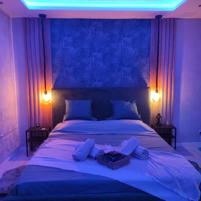 Appartement La Splenzia SPA Jacuzzi wifi clim - One-Bedroom Apartment - 10
