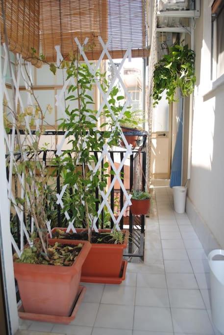Trezza view apartment - Casa con 2 Camere da Letto - 32