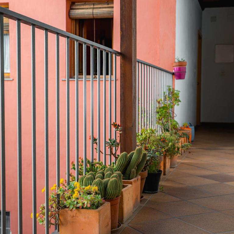 Ibericabeds Realejo - Apartamento Superior - 4