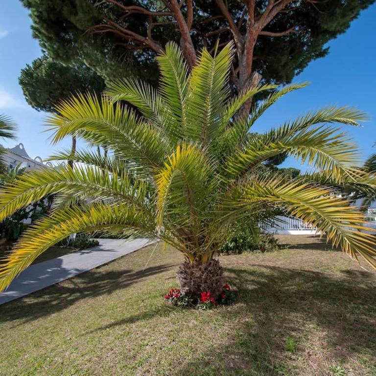 CasaDelSol-Marbella-Słońce,piasek,szmaragdowa woda - Apartamento de 2 dormitorios - 62