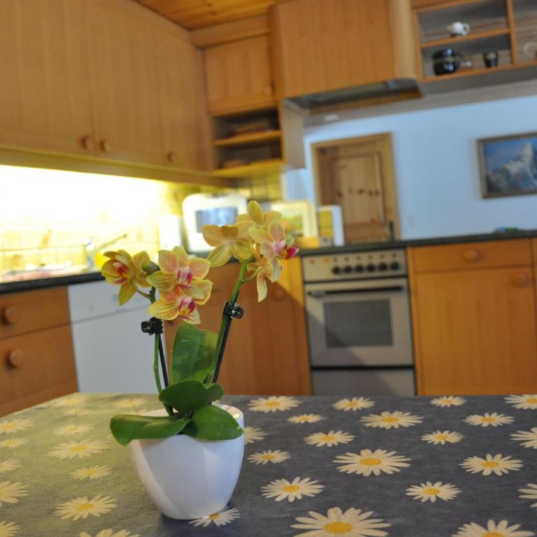 FERIENWOHNUNGEN Chalet Hohturnen - Apartment mit 1 Schlafzimmer und Terrasse - 13