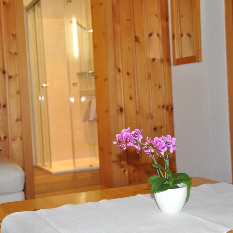 FERIENWOHNUNGEN Chalet Hohturnen - Apartment mit 1 Schlafzimmer und Terrasse - 16