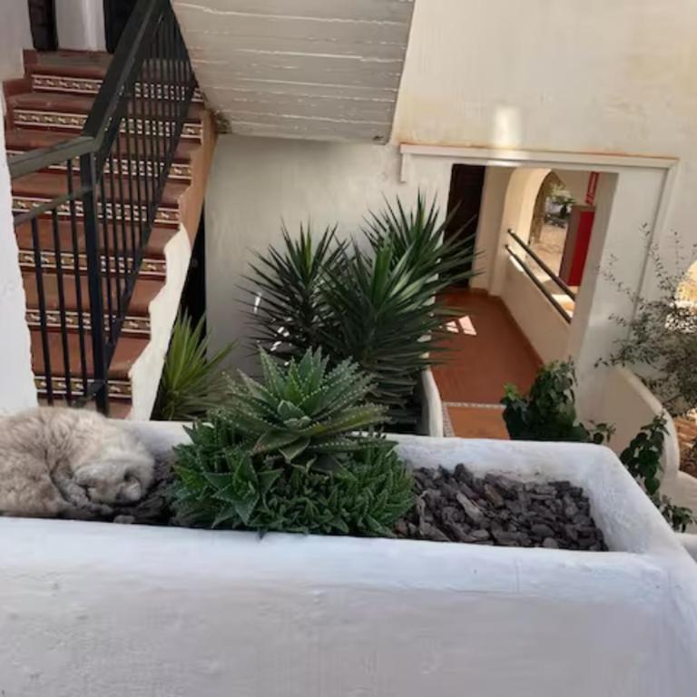 Andalusian style apartment in Pueblo Evita exclusive holiday complex - Apartamento - 22