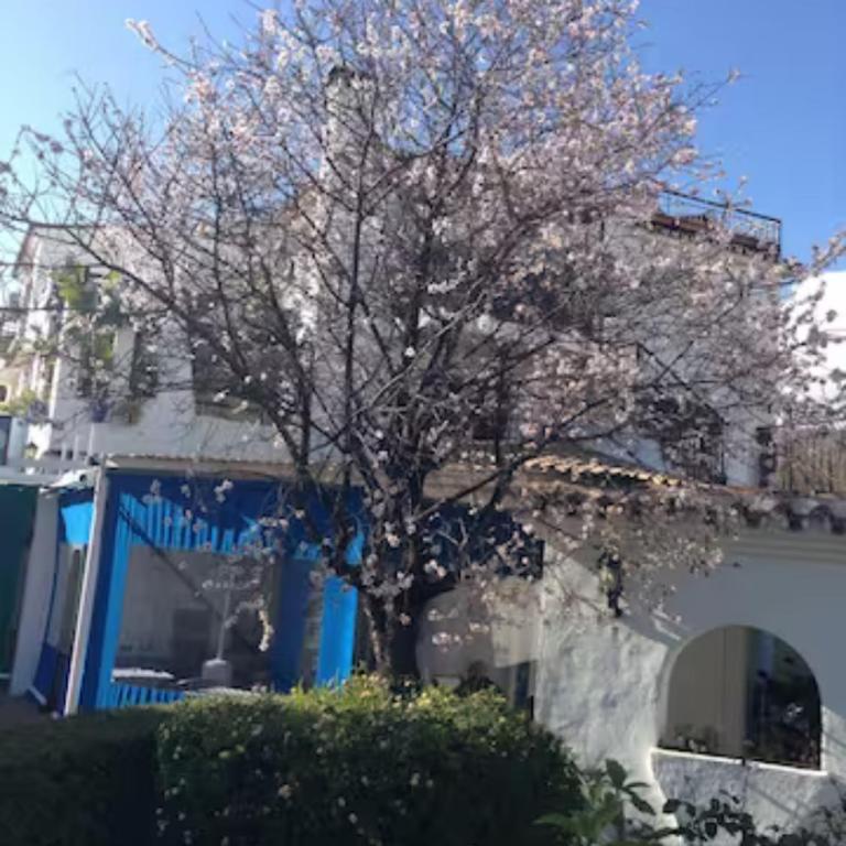 Andalusian style apartment in Pueblo Evita exclusive holiday complex - Apartamento - 26