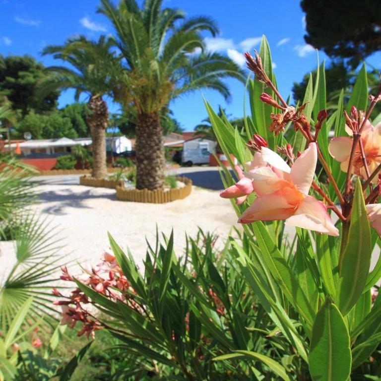Camping Del Mar 10, Mobil home Petit Paradis, 6 personnes, Bord de mer, Camping Del Mar Village - Mobile Home - 42